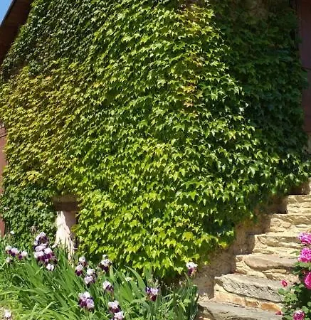 La Casa Di Gilindo * Roccabruna